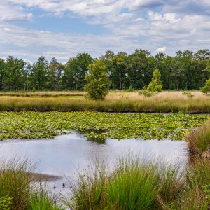 Den-Bosch-fietsroutes-Kampina